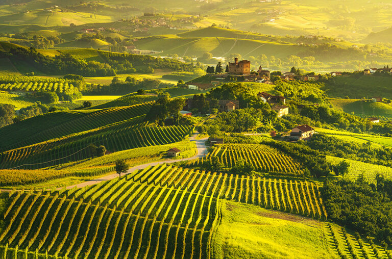 Vineyards at sunset in Barolo with the Grinzane Cavour Castle