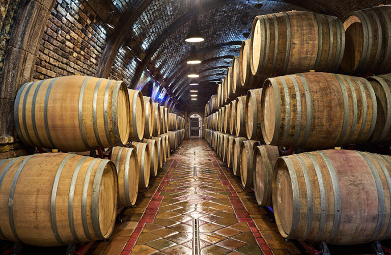 Barrels In A Wine Cellar