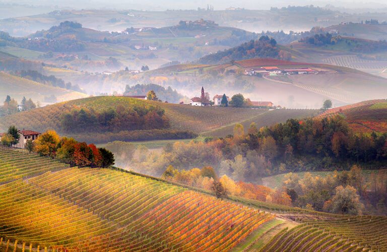 Sunrise on the hills of Barolo, Piedmont, Italy