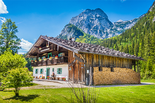 Bavarian Dream