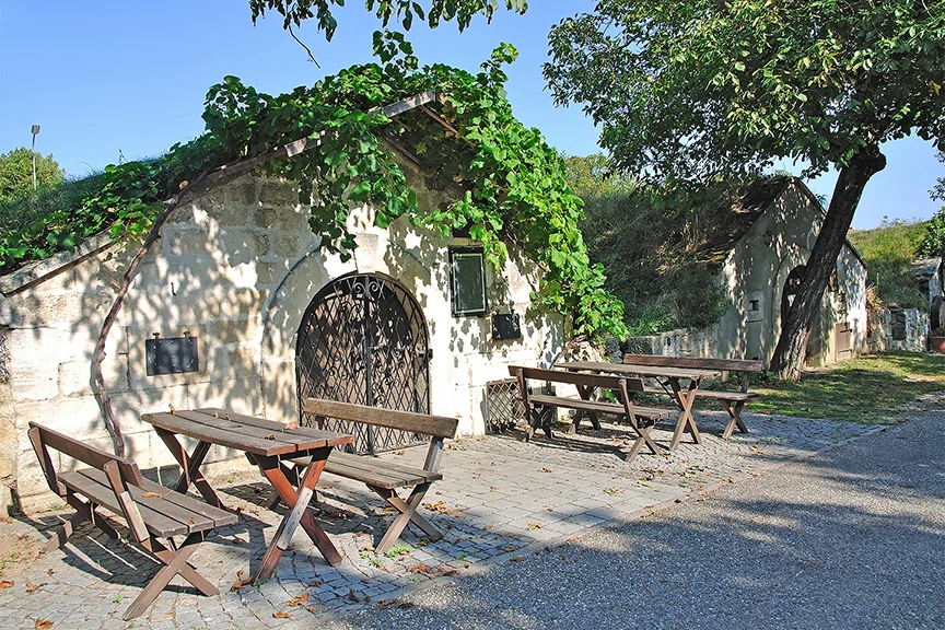 Wein Cellar in Burgenland