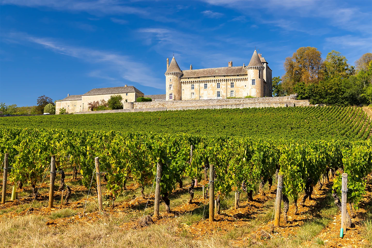 Chateau Vineyards in Burgundy