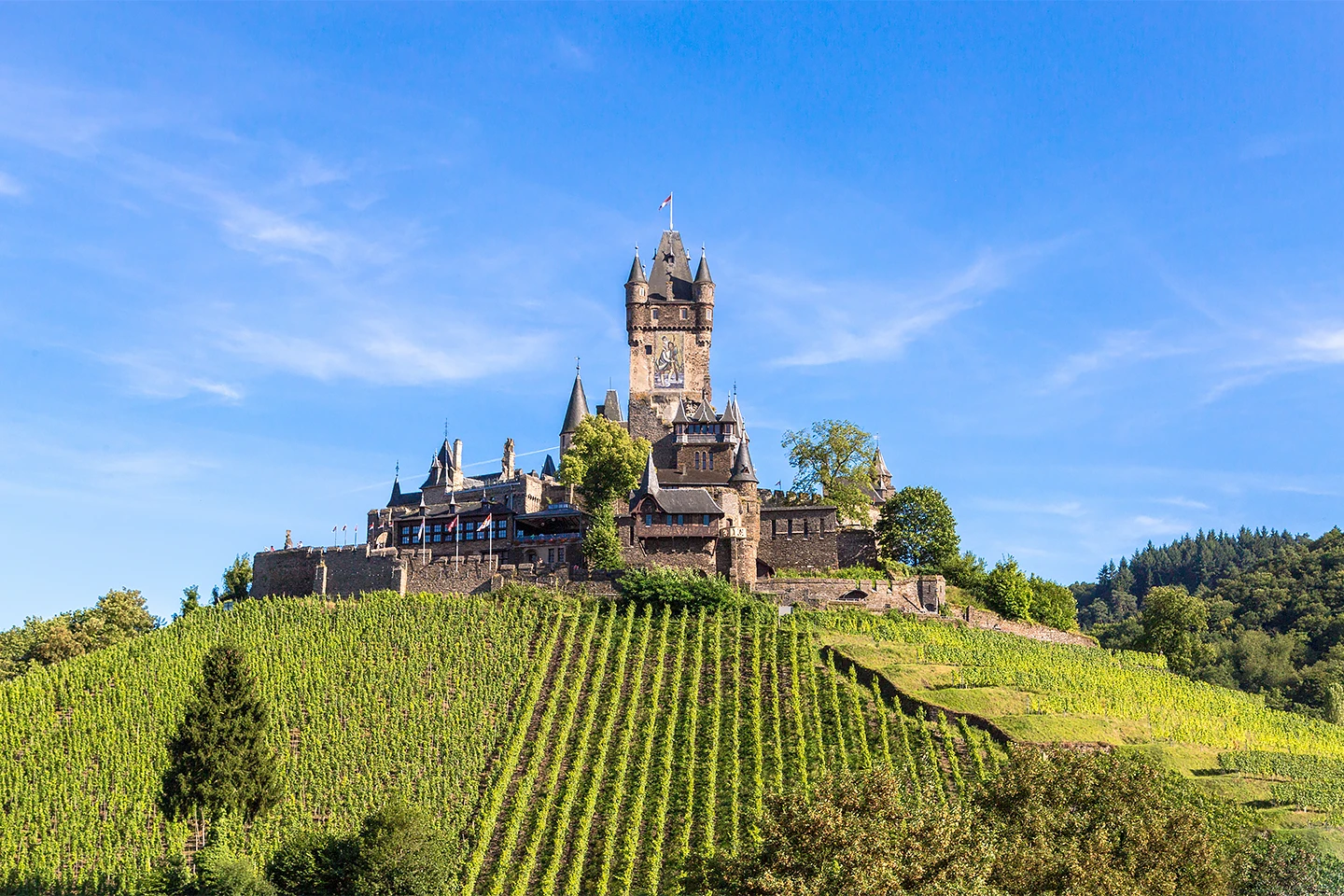Mosel Reichsburg Vineyards