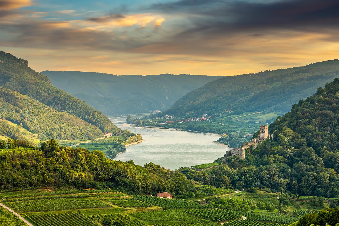 Vineyards in the Wachau on the Danube River